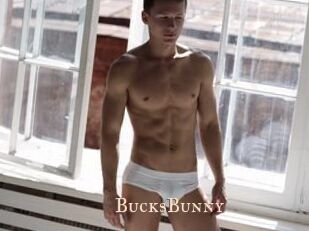 BucksBunny