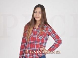 BurningFlamee