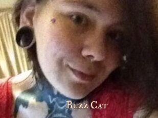 Buzz_Cat