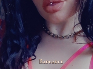 badgarce Pink Center Fold