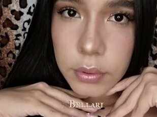 bellari Pink Center Fold