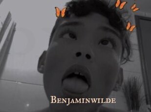 Benjaminwilde