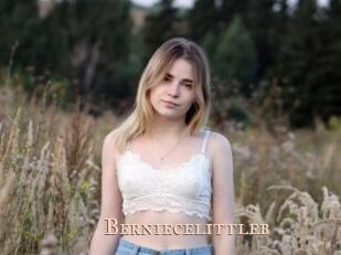 Berniecelittleb