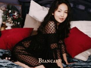 biancalu Pink Center Fold