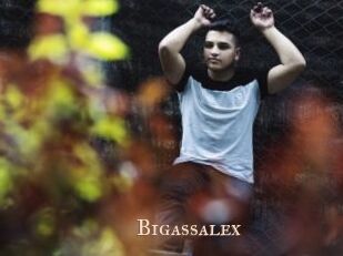 Bigassalex
