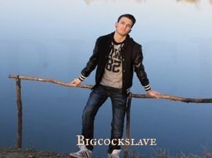 Bigcockslave