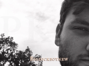 Bigdickboynew