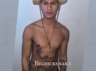 bigdicksnake Pink Center Fold