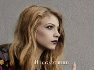 Boggartbird