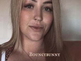 bouncybunny Pink Center Fold