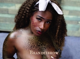 Brandiibrow