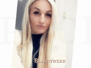 Brandyweed