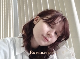 Breebaskett