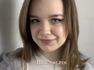 breegalpin Pink Center Fold