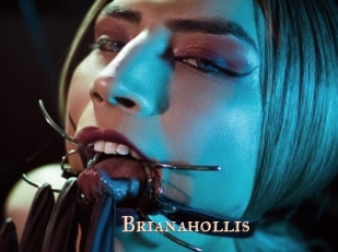 brianahollis Pink Center Fold