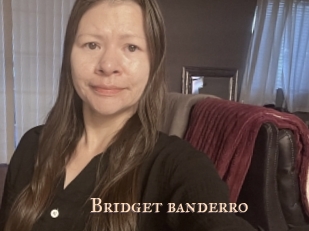 Bridget_banderro