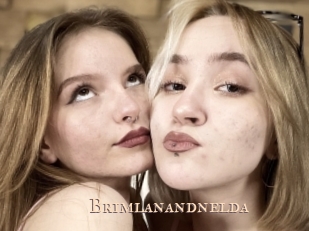 Brimlanandnelda