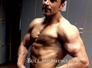 Bull_dosemuscles