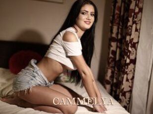 CAMMELYA_