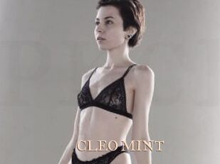 CLEO_MINT