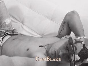 Cam_Blake Pink Center Fold