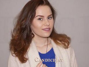 CandiceJay Pink Center Fold