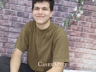 CaseyDale Pink Center Fold