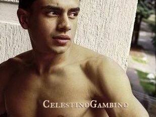 CelestinoGambino Pink Center Fold