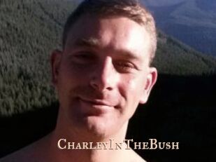 CharleyInTheBush