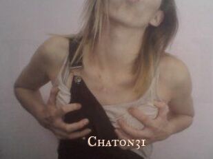 Chaton31