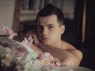 CupidSalvadore