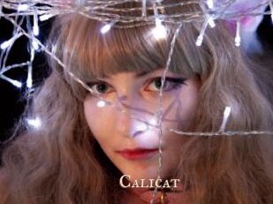 Calicat