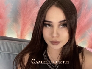 Cameliacurtis