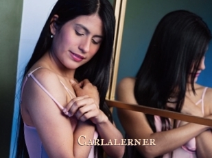 carlalerner Pink Center Fold