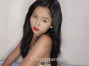 Casandracedar