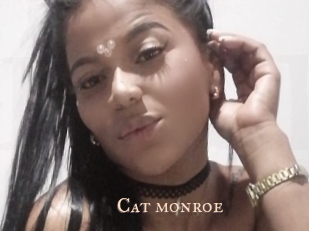 Cat_monroe