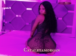 Cataleyamorgan