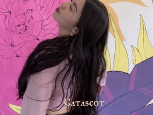 catascot Pink Center Fold