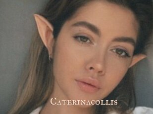 caterinacollis Pink Center Fold