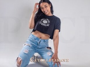 Cattaleyakane