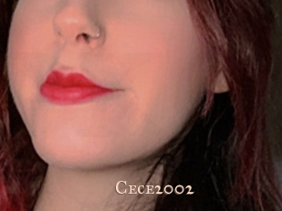 cece2002 Pink Center Fold