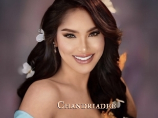chandriadee Pink Center Fold