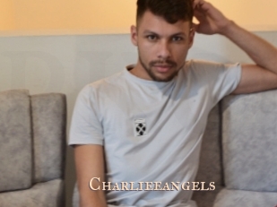 charlieeangels Pink Center Fold