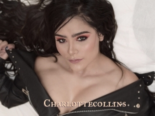 charlottecollins Pink Center Fold