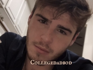 Collegedadbod