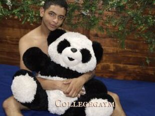 collegegaym Pink Center Fold