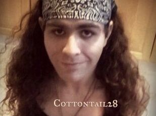 Cottontail28