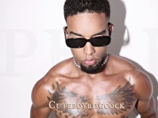 cuteboybiigcock Pink Center Fold