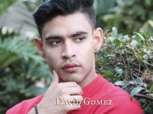 David_Gomez Pink Center Fold