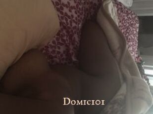 Domic101